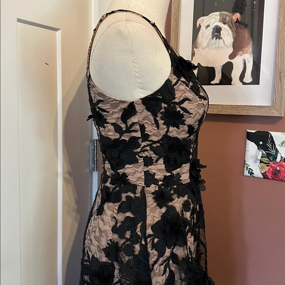 Dress the Population Sidney Black Floral Lace bodycon sheer lace XXS Maxi Dress - Picture 9 of 16